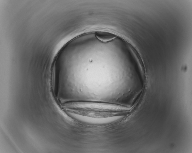 X0000114211525200910231354