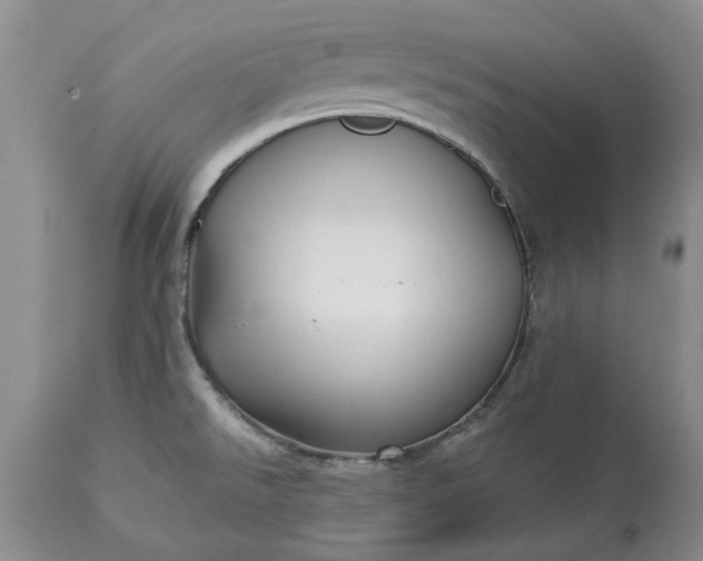 X0000114211526200910231354