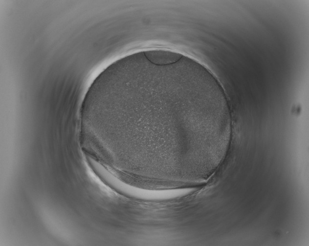 X0000114211527200910231354