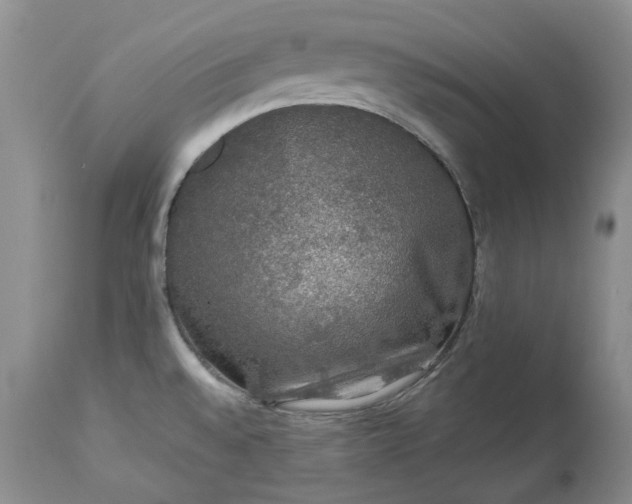 X0000114211528200910231354