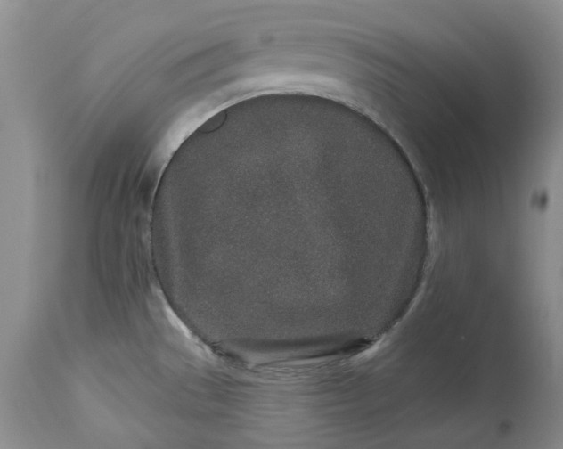 X0000114211529200910231355
