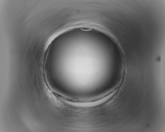 X0000114211530200910231355