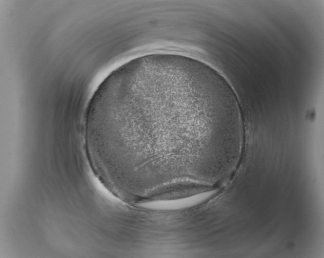 X0000114211531200910231355