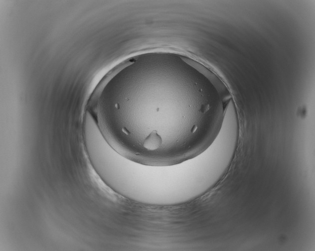 X0000114211532200910231355