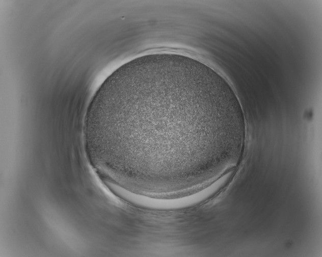 X0000114211533200910231355