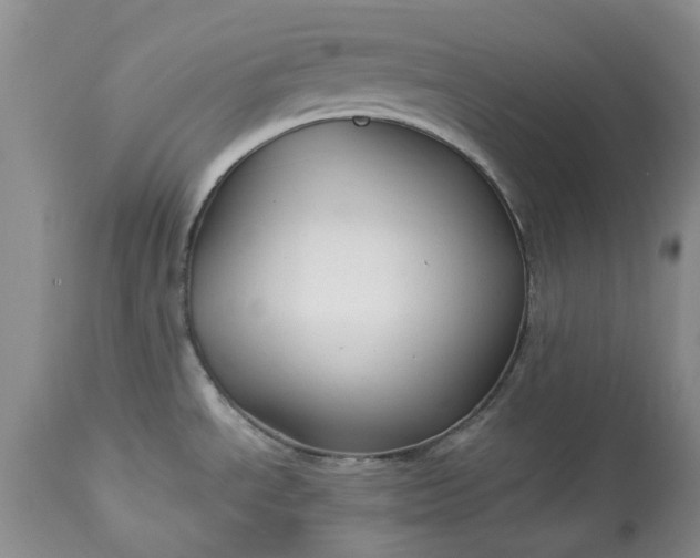 X0000114211534200910231355