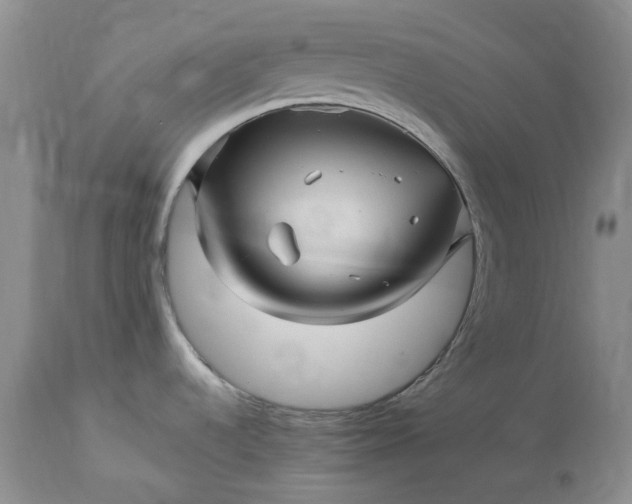 X0000114211536200910231355