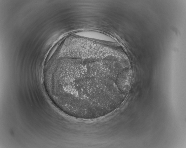 X0000114210002200911061455