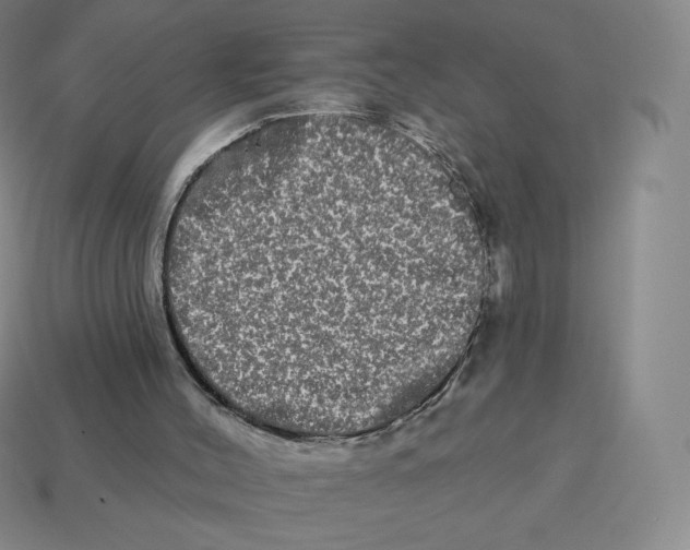 X0000114210004200911061455