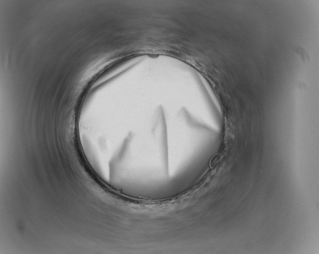X0000114210005200911061455