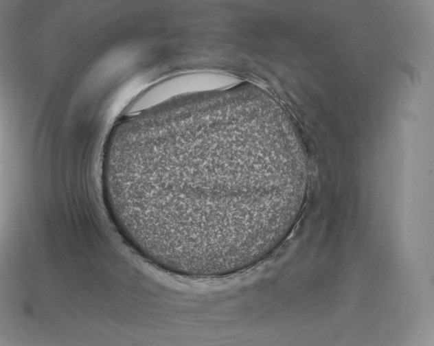 X0000114210006200911061455