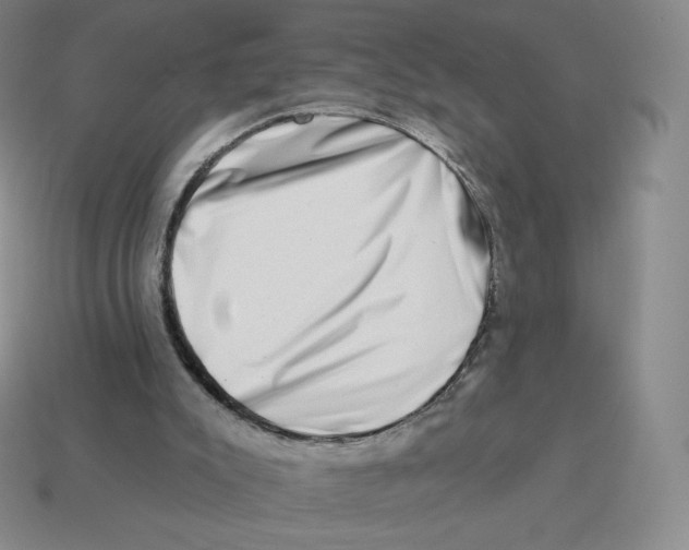 X0000114210007200911061455
