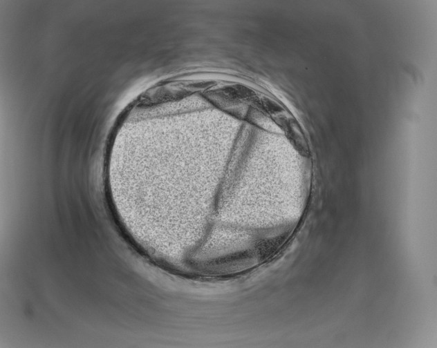 X0000114210008200911061455