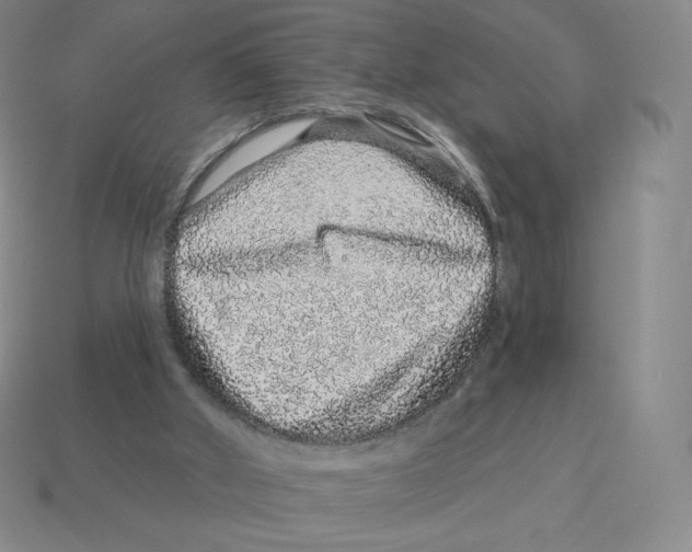 X0000114210010200911061455