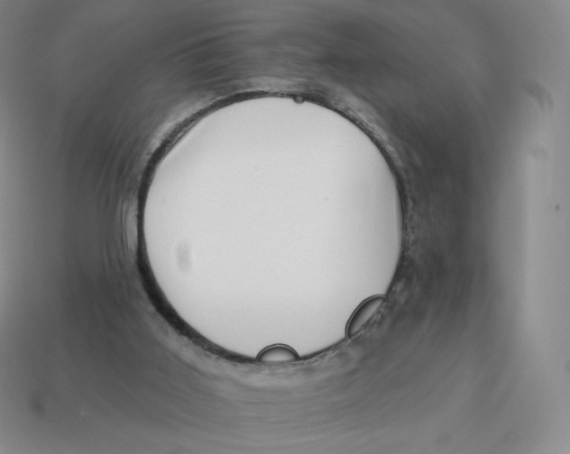 X0000114210011200911061455