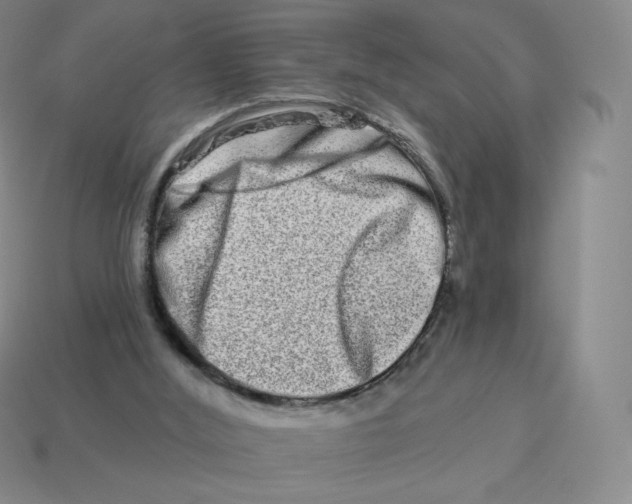 X0000114210012200911061455