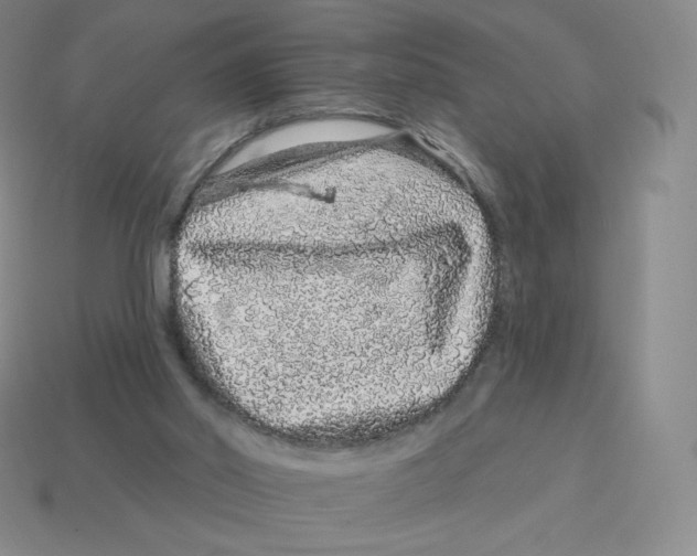 X0000114210014200911061455