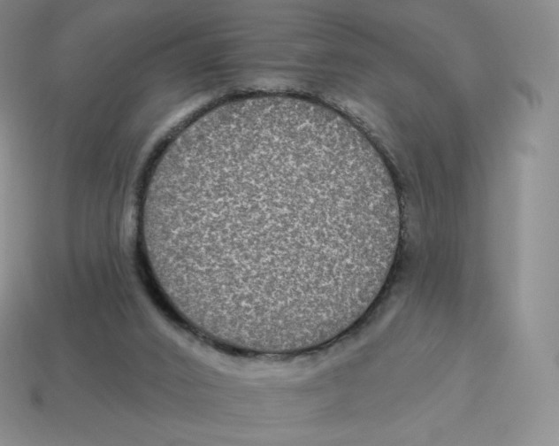 X0000114210016200911061455