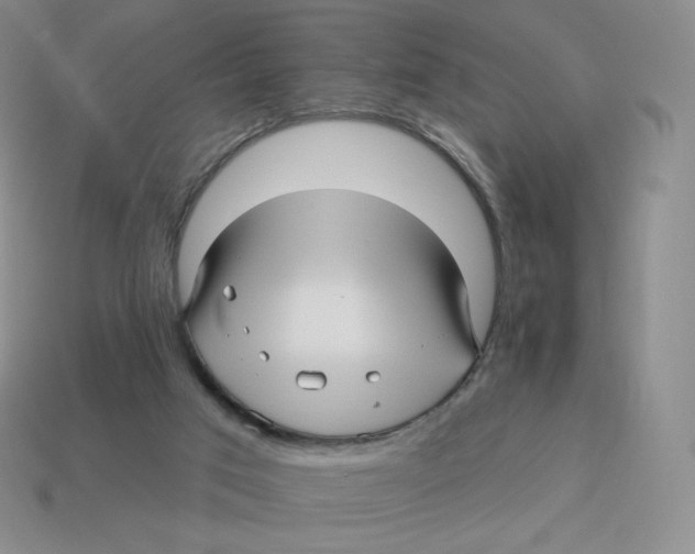 X0000114210017200911061455