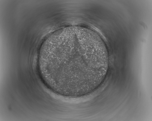 X0000114210018200911061455