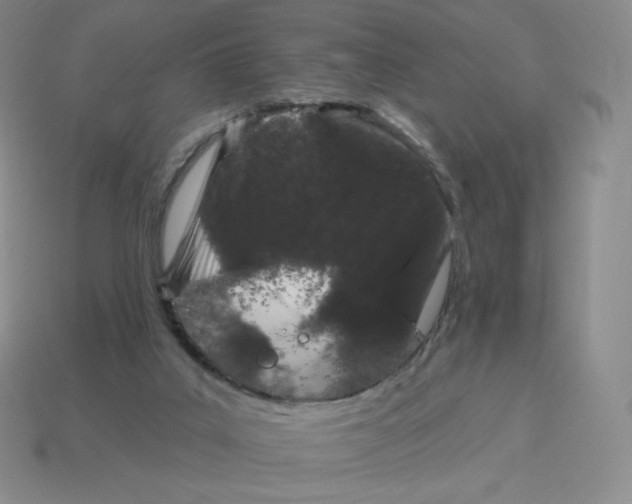 X0000114210019200911061455