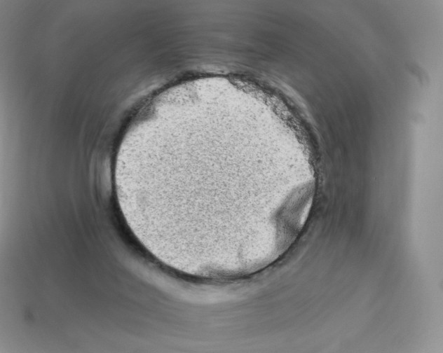 X0000114210020200911061455