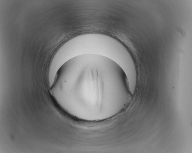 X0000114210021200911061455