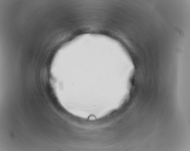 X0000114210022200911061455