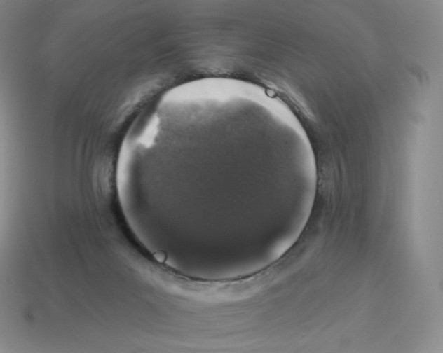 X0000114210023200911061455