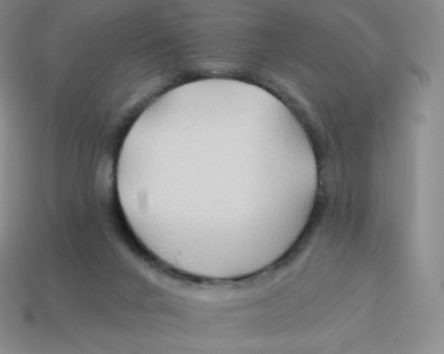 X0000114210024200911061455