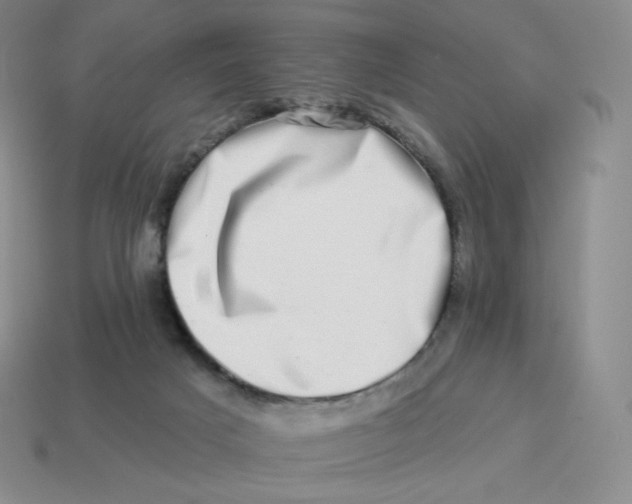 X0000114210025200911061455