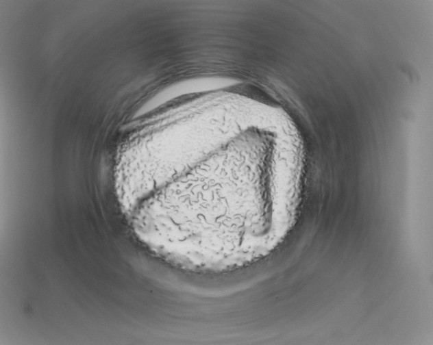 X0000114210026200911061455