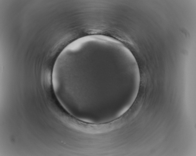 X0000114210027200911061455