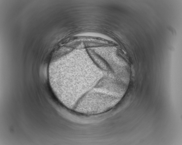 X0000114210028200911061455