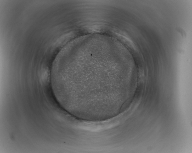 X0000114210029200911061455