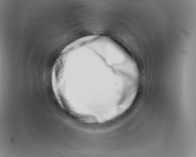 X0000114210030200911061455