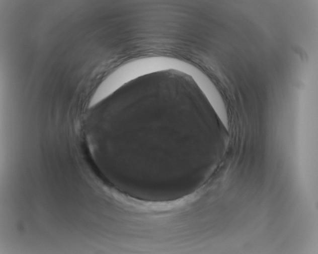 X0000114210031200911061455