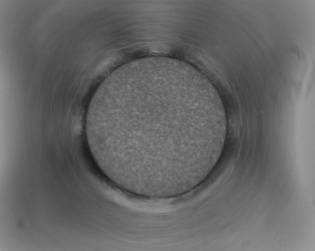X0000114210032200911061455