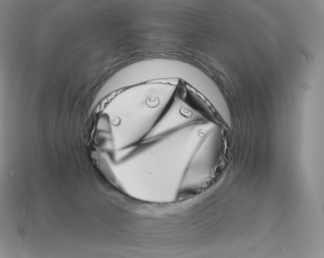 X0000114210033200911061455