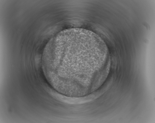 X0000114210034200911061455