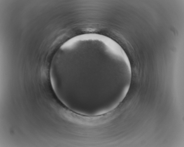 X0000114210035200911061455