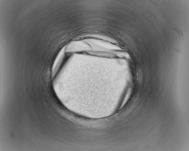 X0000114210036200911061455