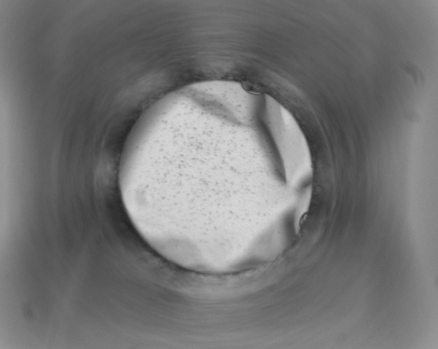 X0000114210037200911061455