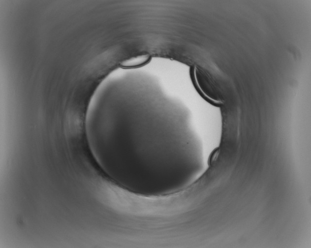 X0000114210039200911061455