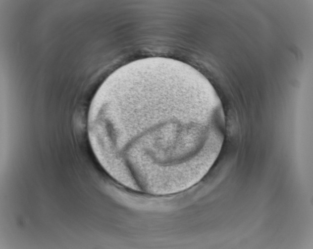 X0000114210040200911061455