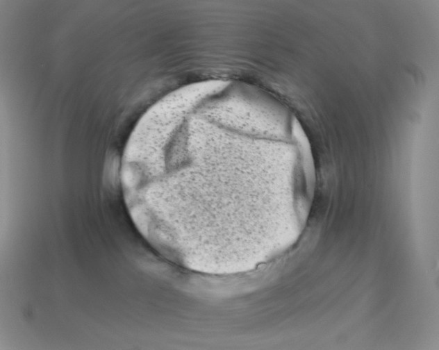 X0000114210041200911061455