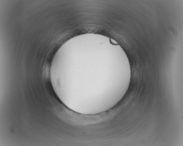 X0000114210042200911061455