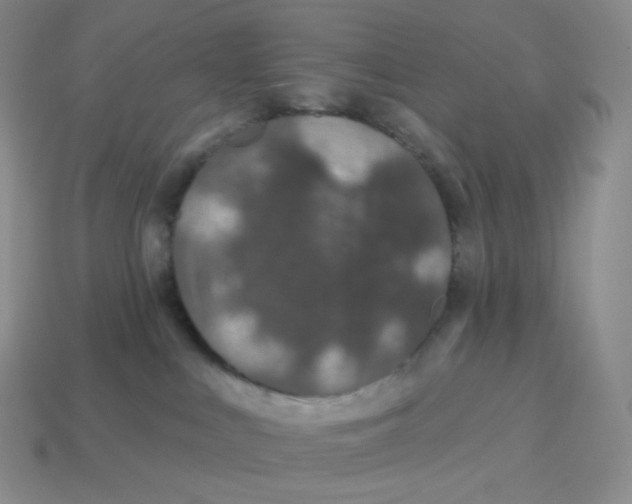 X0000114210043200911061455