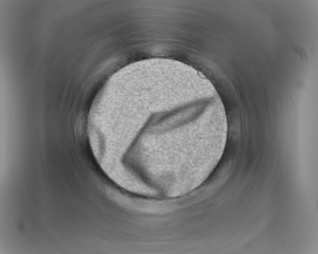 X0000114210044200911061455