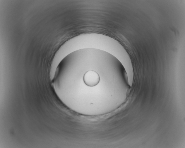 X0000114210045200911061455